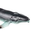 1/6Pcs Simulation Sea Animal Figurine Miniature Shark Whale Dolphin Sculpture Educational Toy Ocean Creature Model Decoration Ornament