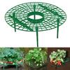 5sets High-Quality Strawberry & Small Vegetable Plant Stand/ Bed - Elevated Fruit Production with Harvestable Berries, Space-Saving Design Suitable