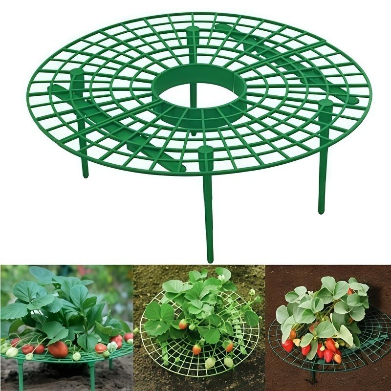 5sets High-Quality Strawberry & Small Vegetable Plant Stand/ Bed - Elevated Fruit Production with Harvestable Berries, Space-Saving Design Suitable