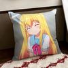 GGabriel Anime DDropout Cushion Cover Reversible Soft Durable Pillow Cover Home  Car MultiScene Use for Daily Comfort
