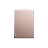 Carregador Portátil Native Union Active - Powerbank Magnético 5000 mAh Compatível com Magsafe e Qi2, Cabo USB-C para USB-C 15 Incluído (Damasco)