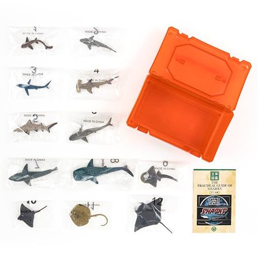 COLORATA 3D Fish Encyclopedia Shark Series Figure 12 Types Educational Toy with Explanation Book and Stand Realistic Food Sanitation Law Compliant Box