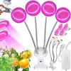Set of 4 LED Plant Bulbs Heckermann 200LED 18WLED - 20W + Holder