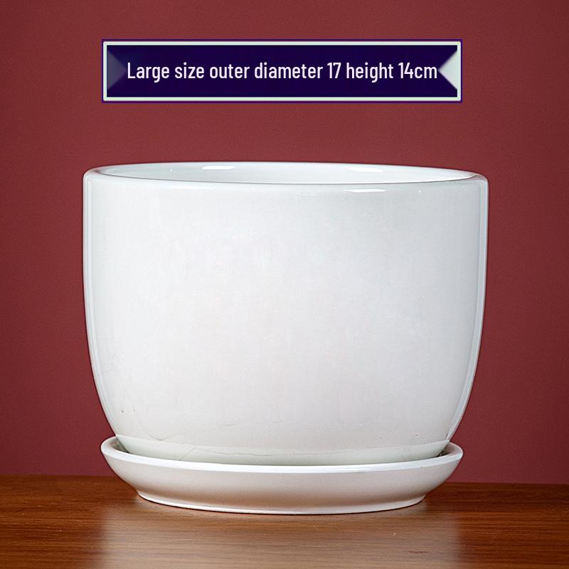 Large Ceramic Flower Pot with Saucer for Indoor or Balcony Plants
