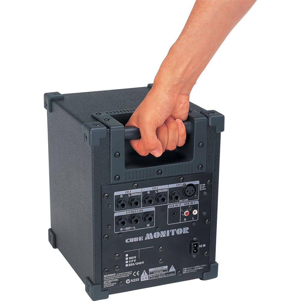 Roland Cube Monitor 30W CM-30