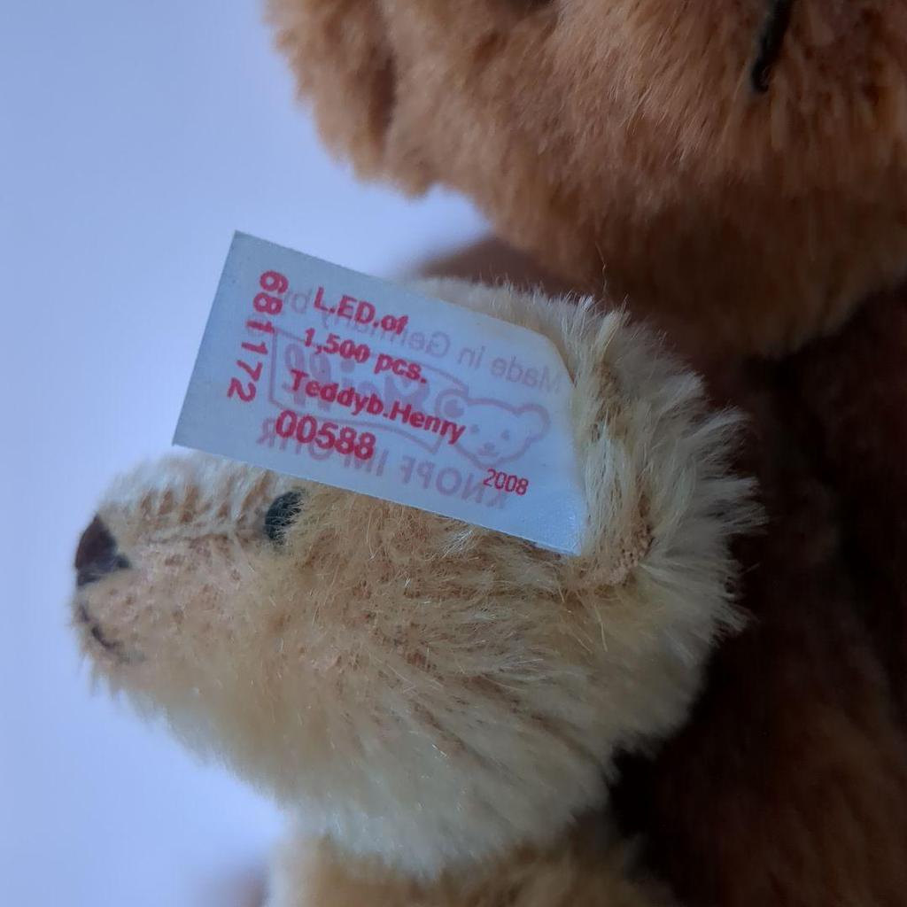 [USED] Steiff William & Henry Brothers Teddy Bear In a Tin