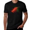 Grevillea Tshirt Soft Touch Basic Cotton Tshirt