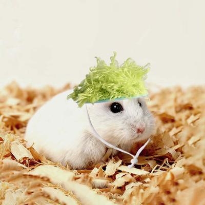Yousheng Afro Hair Hamster Hat Small Pet Hat with Adjustable Elastic Band Funny Shaggy Hair Hat for Guinea Pig Golden Hamster Chipmunk