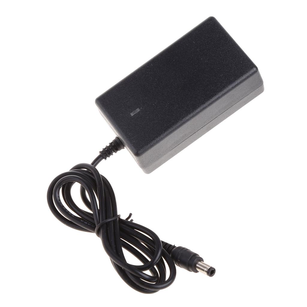 25.2V 1A Charger 25.2V Lithium Battery Charger Power Adapter Portable Wall Charger for 6 Series 21.6V 22.2V 24V Battery