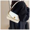 Chic Retro Small Square Shoulder Bag for Women - Stylish 2025 Spring Fashion Crossbody for Commuting
