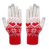 Outdoor Winter Gloves for Daily Walks, Phone-Ready Fingertips, Jacquard Detail and Wrist Rib Comfort for Adults