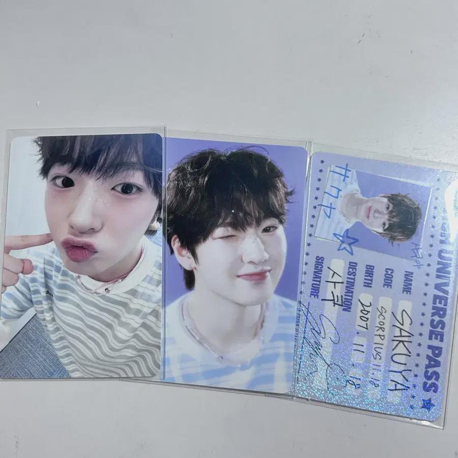 

Nct Wish Sakuya Season s Greetings Is In One Batch