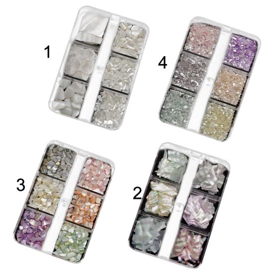 1 krabička dekorace na nehty z mušlí Kreativní módní řemeslo Ekologické nepravidelné tvary Umění pro domácí použití