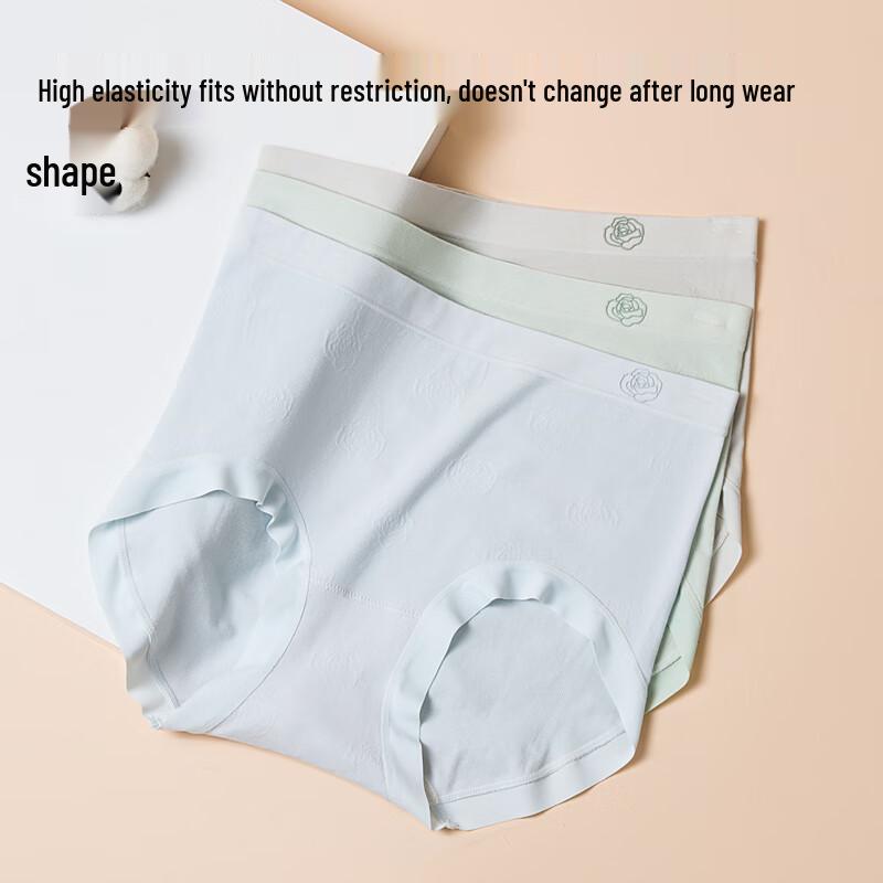 MIIOW Women's Camellia Clean Modal Antibacterial Briefs (3-Pack)