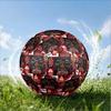 Delta Sigma Theta Size 5 Soccer Ball,Indoor/Outdoor Suitable for Training Matches Tournaments Practice Games Perfect Gift for Fan