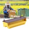 Heavy Duty Beekeeping Pollen Collector Plastic Construction Ventilated Removable Tray Easy Clean Accessory