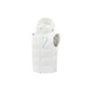 Down Vests Men's Hooded (Non-detachable) Moderate Other D2431TDV57