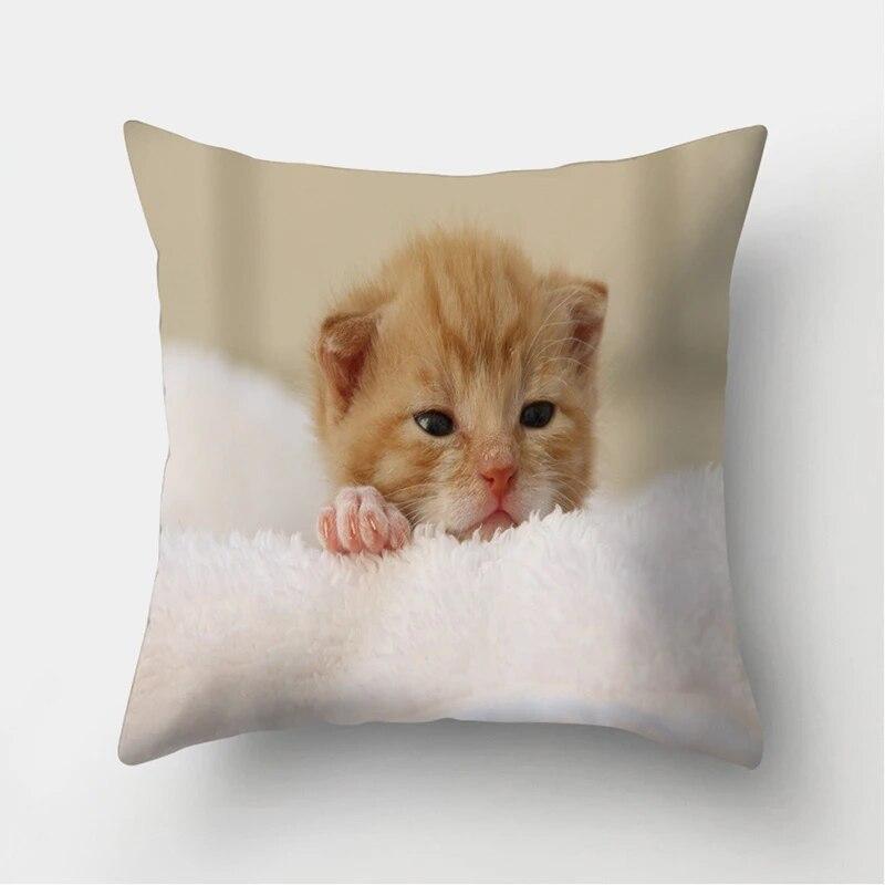 Cute Cat Print Decorative Cushion Pillowcase  Cover Pillow Sofa Living Room