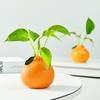 Kreative Orange-Form-Vase Hydroponischer Keramik-Kunststoff-Blumentopf Blumenarrangement Heimdekoration Schreibtisch-Ornament Gartendekoration