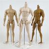 30cm Male Doll's Body for 16 FR Doll with White NormalTan Skin Doll  Toys Accessories