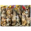 Puzzle - EDUCA - Chatons et Oiseaux - 500 pieces