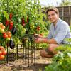 Jardinagem e paisagismo – Suporte de plantas