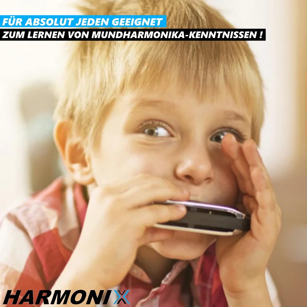 HARMONIX Högkvalitativt C-dur-munspel i metall, 10-håls diatonisk