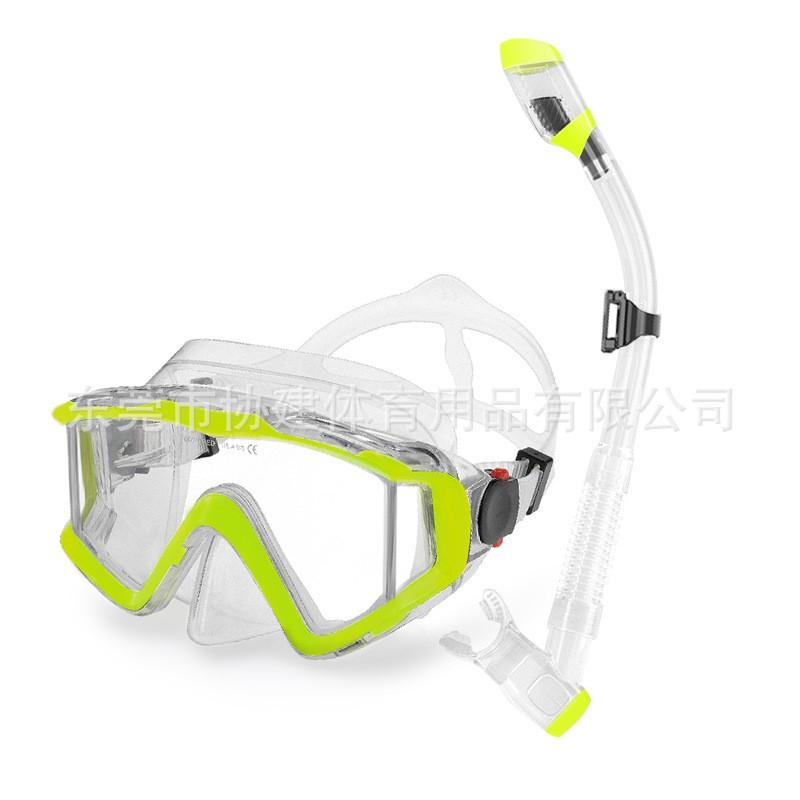 Adult Snorkel Set Anti-Fog Diving Mask Full Dry Breathing Tube Swimming