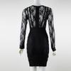 Elegant Rose Red Mesh Lace Bodycon Dress