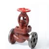 Flange Cast Iron Globe Check Valve