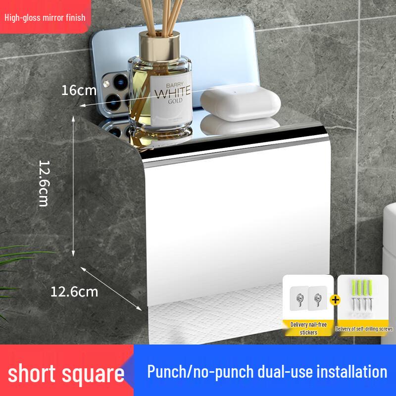 Stainless Steel Wall-Mounted Dual Tissue Holder