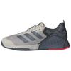 DROPSET 3 Bequeme Niedrige Trainingsschuhe Unisex Grau Blau JI3901