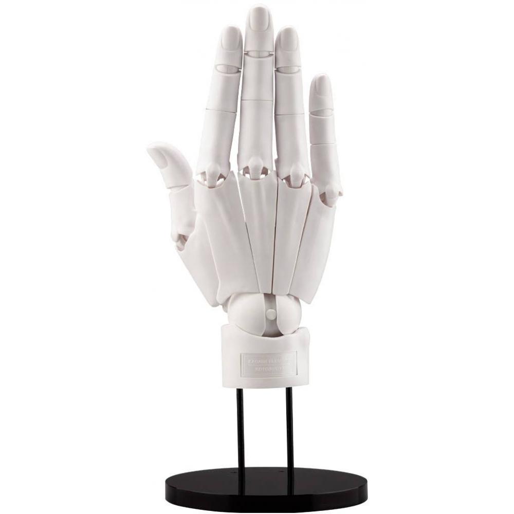 ARtist SuppoRt Item 1 1 Hand Model  R  White   Reissue