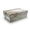 1201A887-100 Dime A Asics GT-2160 Arctic Wolf London Fog
