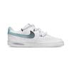 Nike Court Vision 1 Abrasion Resistant, Lightweight, And Breathable Low top Skateboard Shoes Unisex DH2987-101(Team329-)