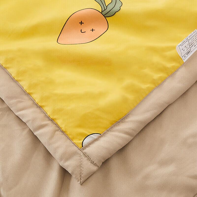 XIAOTAOLI Cool Summer Air Conditioning Quilt