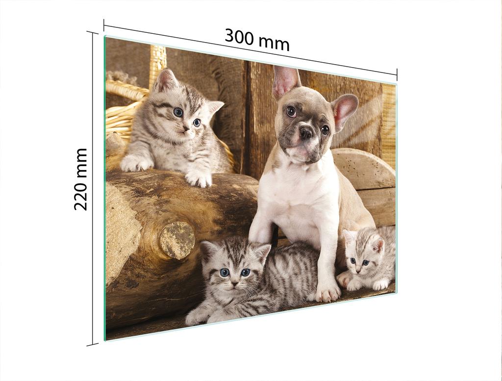 TÁBUA DE VIDRO PARA CORTAR 30x22 CÃO