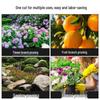 Cross-Border Horticulture Pruning Shears for Fruit, Grapes, and Vegetables