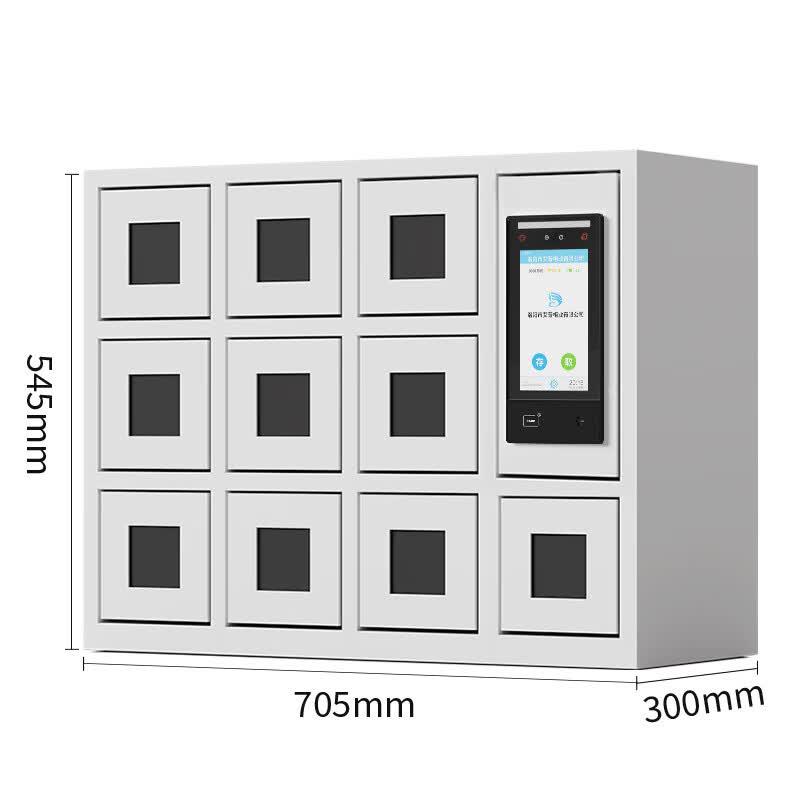 10-Door Smart Face Recognition Phone Charging Locker
