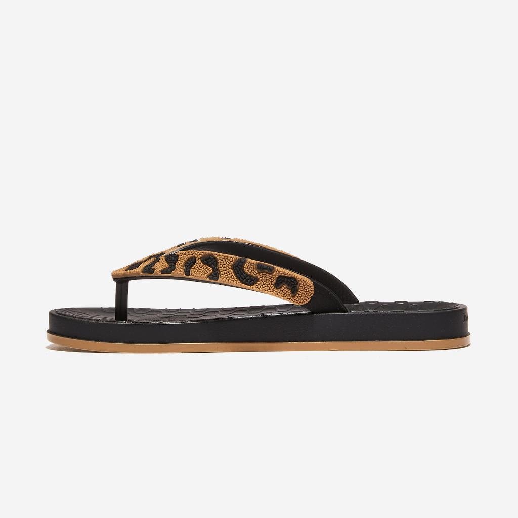 [Ipanema] Festa [83772] [Shipped from Korea] 100% Authentic