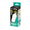 Fluorescent Light Bulb EFD 60W E17 Base
