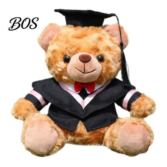 Luxury Gift Packaging Bear Personalized Graduation Gifts 2026 for Her, Cute Teddy with Embroidered Gown Award And Cap, Soft Plush Mascot College High