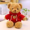TROYSINC Teddybär Weiches Fell Teddybär mit Kapuze Tatzendruck Plüschtier Kuscheltier Stofftier Geschenk (Rot,30cm)