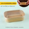 MOLUONA Disposable Picnic Lunch Box