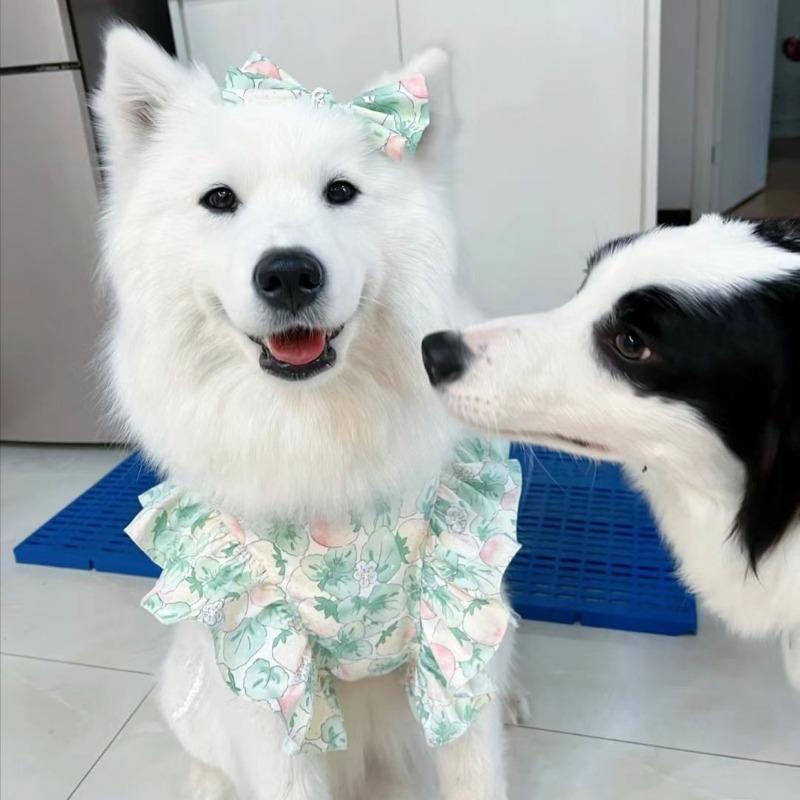 Pet Clothes Spring and Summer Cute Medium and Large Dog Clothing Pet Clothing Floral Princess Skirt Midsummer Flowers