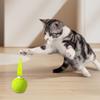 Cat Toy with Sound Feature Cats Bouncy Exercise Ball Interactive Ball Toy with Feathers for Cats Stress Relief Fun Activity Indoor Outdoor Use