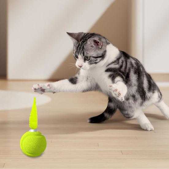 Cat Toy with Sound Feature Cats Bouncy Exercise Ball Interactive Ball Toy with Feathers for Cats Stress Relief Fun Activity Indoor Outdoor Use