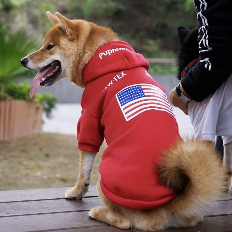 Buy Dog Clothes Fashion Pet Hoodies Autumn Winter Medium Large Dogs The