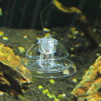 Fische & Meerestiere – Aquarienpflege
