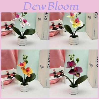 Butterfly Orchid Artificial Plant With 3d Printing For Home Decor And Photography Props